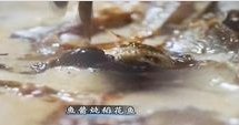 荤素搭配